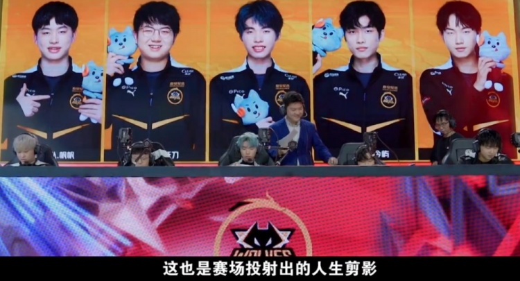 金牛隊管理