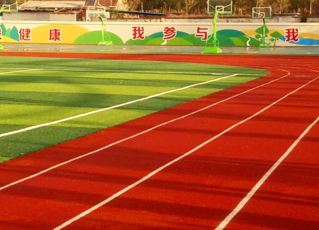 他们用坚持 他们用坚持