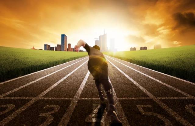 交织的国羽 交织的国羽